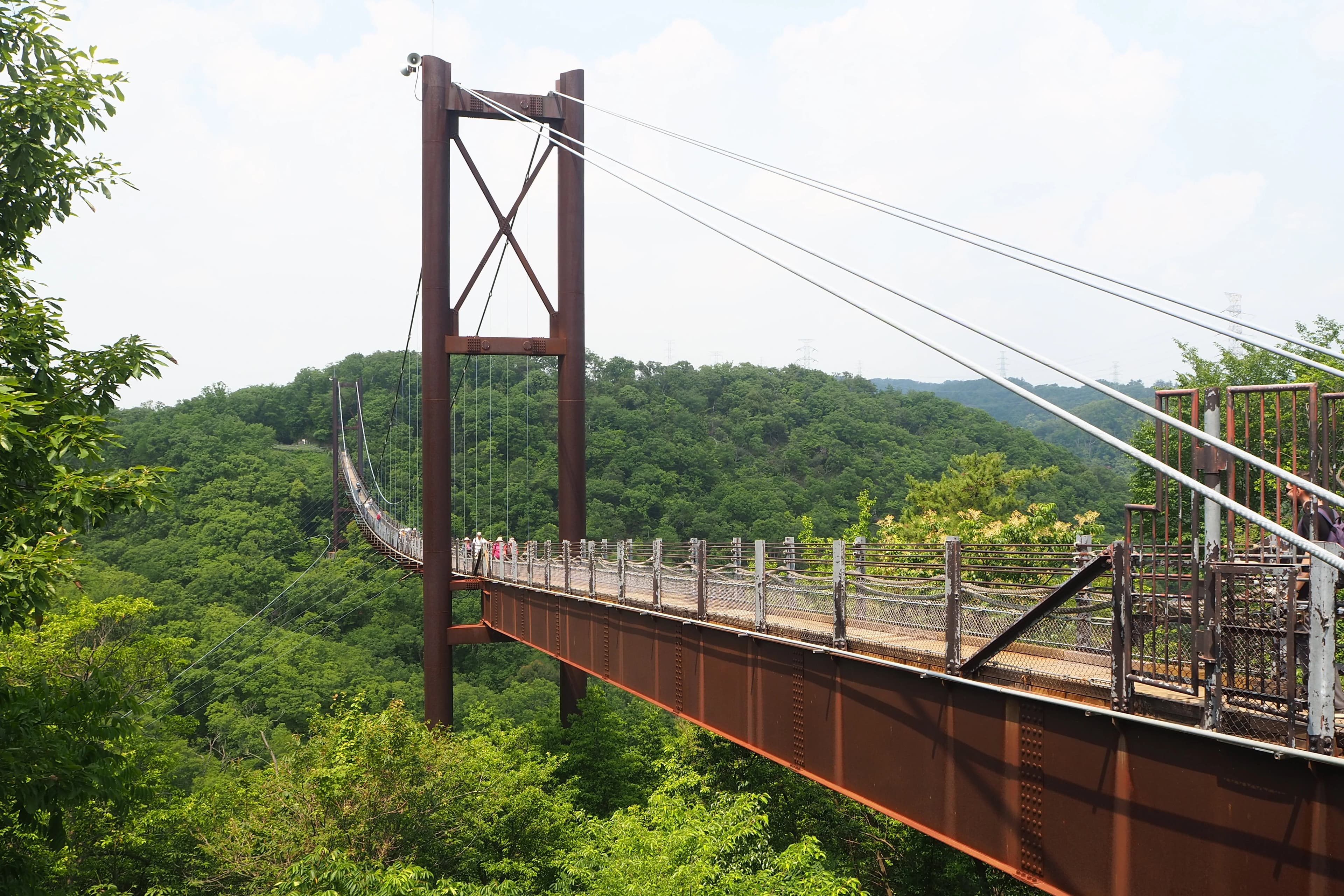 A calm visual placeholder for the forest trails and suspension bridge at Hoshida Park.